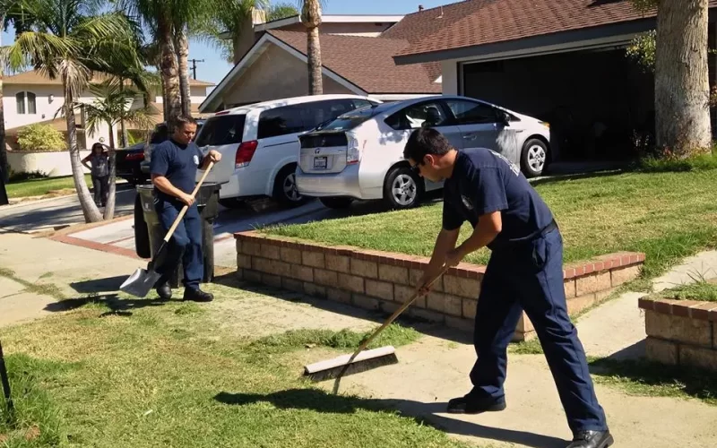 professional lawn care services